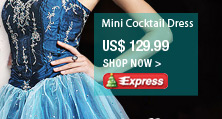 Mini Cocktail Dress