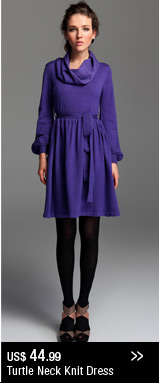 Turtle Neck Knit Dress