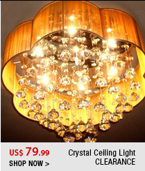 Crystal Ceiling Light