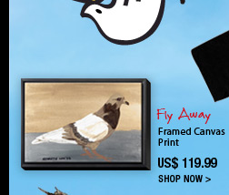 Fly away Framed canvas print
