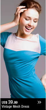 Vintage Mesh Dress