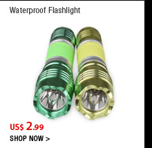 Waterproof Flashlight