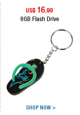 8GB Flash Drive