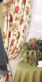 Window Curtains