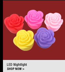 LED Nightlight