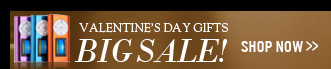 Valentine's Day Gifts
