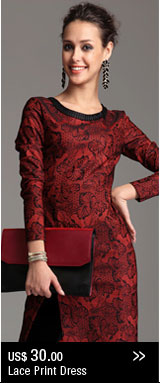 Lace Print Dress