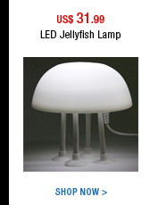 LED Jellyfish Lamp