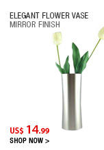 Elegant Flower Vase