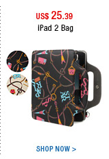iPad 2 Bag