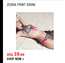 Zebra Print Bikini 