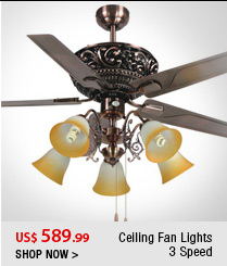 Ceiling Fan Lights