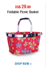 Foldable Picnic Basket