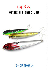Artificial Fishing Bait