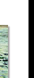 Ocean Wave Oil Painting