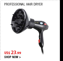 Professional Hair Dryer