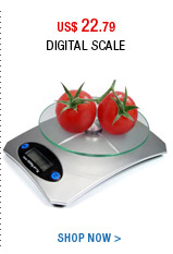 Digital Scale