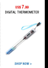 Digital Thermometer 