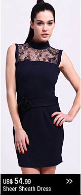 Sheer Sheath Dress