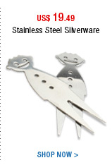 Stainless Steel Silverware 