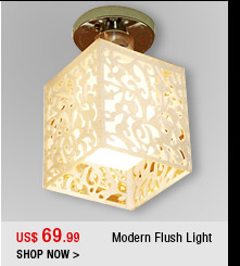 Modern Flush Light
