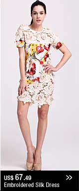 Embroidered Silk Dress
