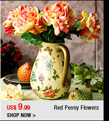 Red Peony Flowers