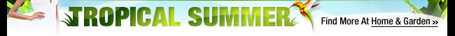 Tropical Summer
