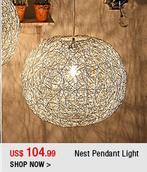 Nest Pendant Light