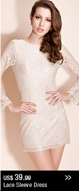Lace Sleeve Dress