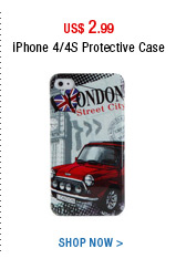 iPhone 4/4S Protective Case