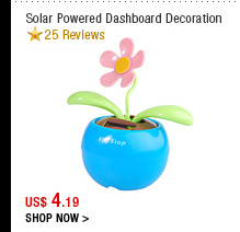 Solar Powered Dashboard Decoration