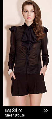 Sheer Blouse 