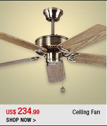 Ceiling Fan 
