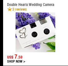 Double Hearts Wedding Camera