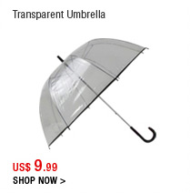 Transparent Umbrella