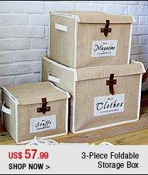 3-Piece Foldable Storage Box