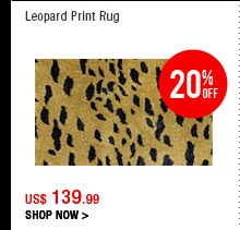 Leopard Print Rug