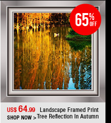 Landscape Framed Print