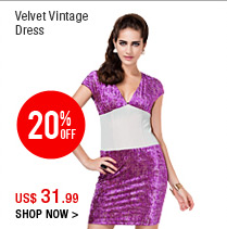 Velvet Vintage Dress
