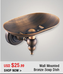 Wall Mounted Bronze Soap Dish