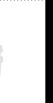 Quartz Wrist Watch