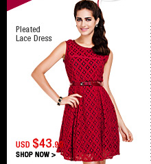 Pleated Lace Dress