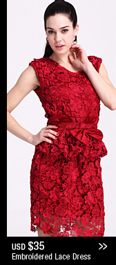 Embroidered Lace Dress