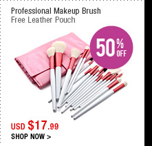 Professional Makeup Brush