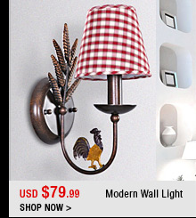 Modern Wall Light