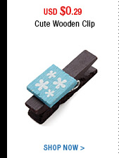 Cute Wooden Clip