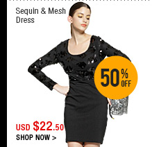 Sequin & Mesh Dress