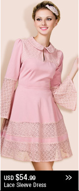 Lace Sleeve Dress