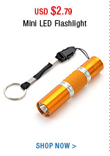 Mini LED Flashlight